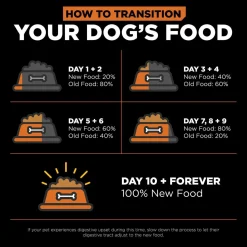 Skin + Coat Care Salmon With Grains Recipe Dog Food