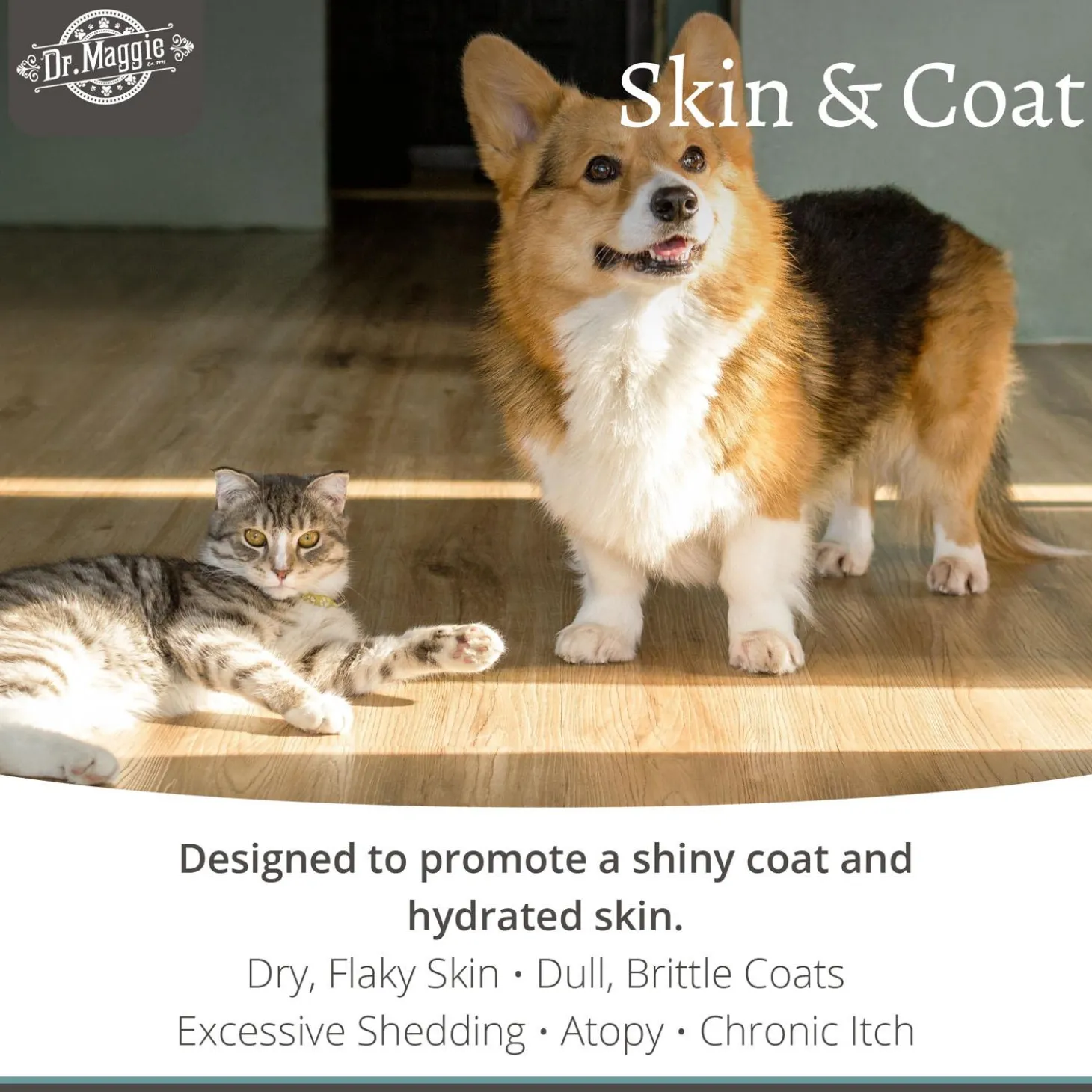 Skin & Coat Pet Supplement