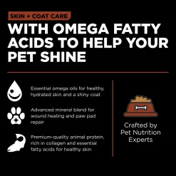 Skin + Coat Salmon With Grains Recipe Large Breed Adult Dog Food