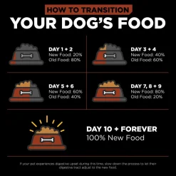 Skin + Coat Salmon With Grains Recipe Large Breed Adult Dog Food