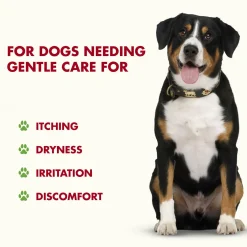 Skin & Coat Support Pot Roast Flavour Dog Supplement