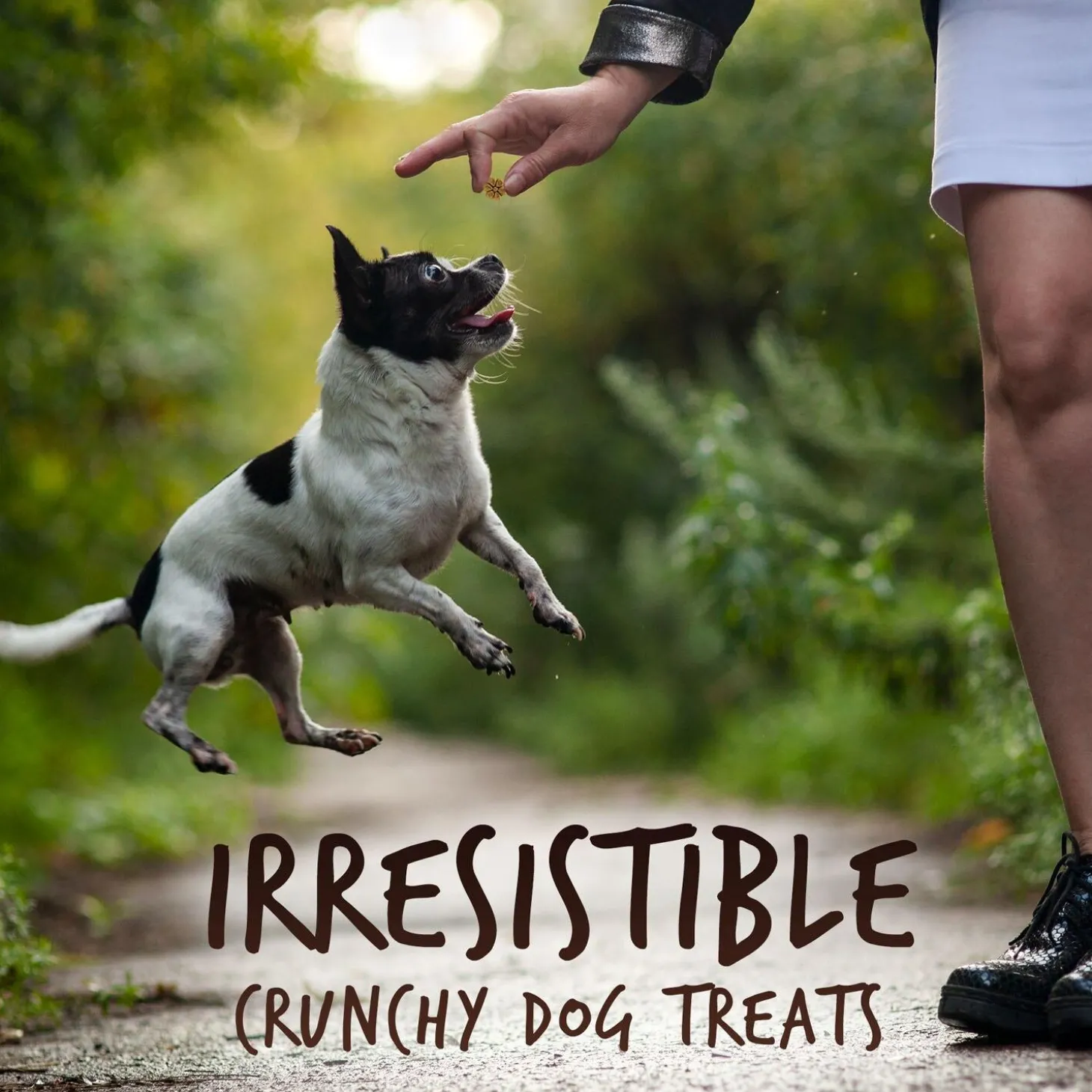 Skinny Minis Soft Grilled Bison Flavour Dog Treats