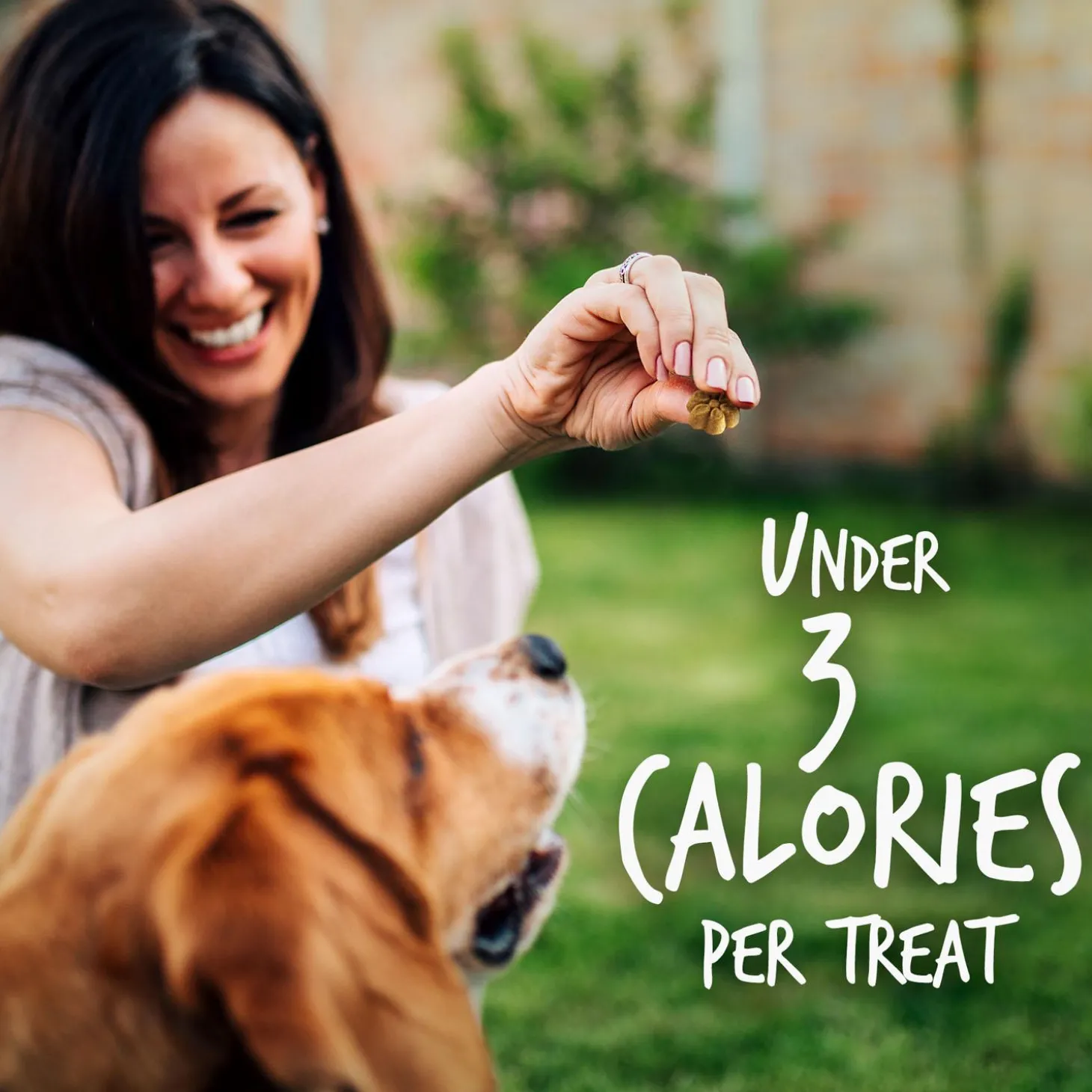 Skinny Minis Soft Pumpkin & Berry Flavour Dog Treats