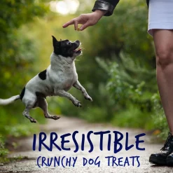 Skinny Minis Soft Pumpkin & Berry Flavour Dog Treats