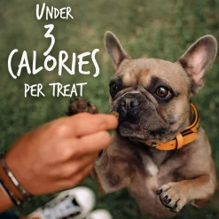 Skinny Minis Soft Pumpkin & Mango Flavour Dog Treats