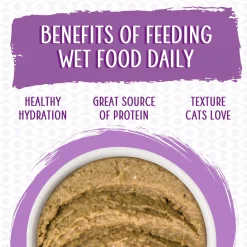 Slide N' Serve Pate The Newly Feds Beef & Salmon Dinner Cat Food