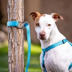 SlideLock Pet S-Biner