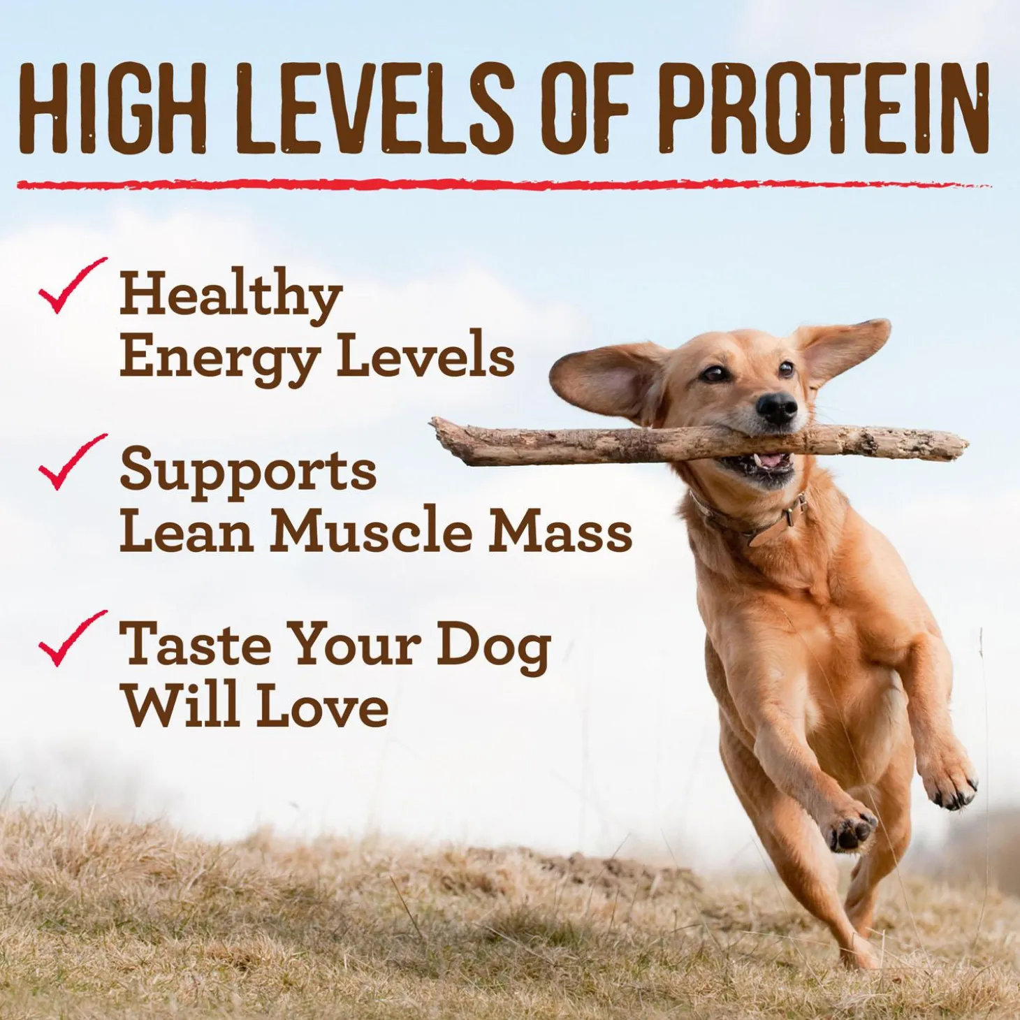 Slow Cooked BBQ Kansas City Style with Chopped Pork Adult Dog Food