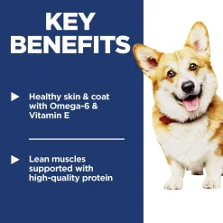 Small Bites Chicken & Barley Recipe Adult Dog Food