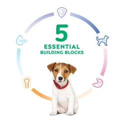 Small Bites Chicken & Brown Rice Recipe Puppy Dog Food