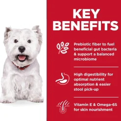 Small Bites Sensitive Stomach & Skin Chicken Recipe Adult Dog Food