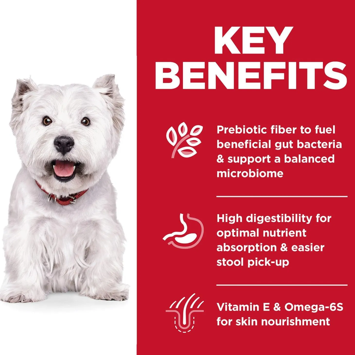 Small Bites Sensitive Stomach & Skin Chicken Recipe Adult Dog Food