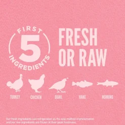 Small Breed Dog Food