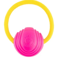 Small Looped Ball Pink & Blue Dog Toy