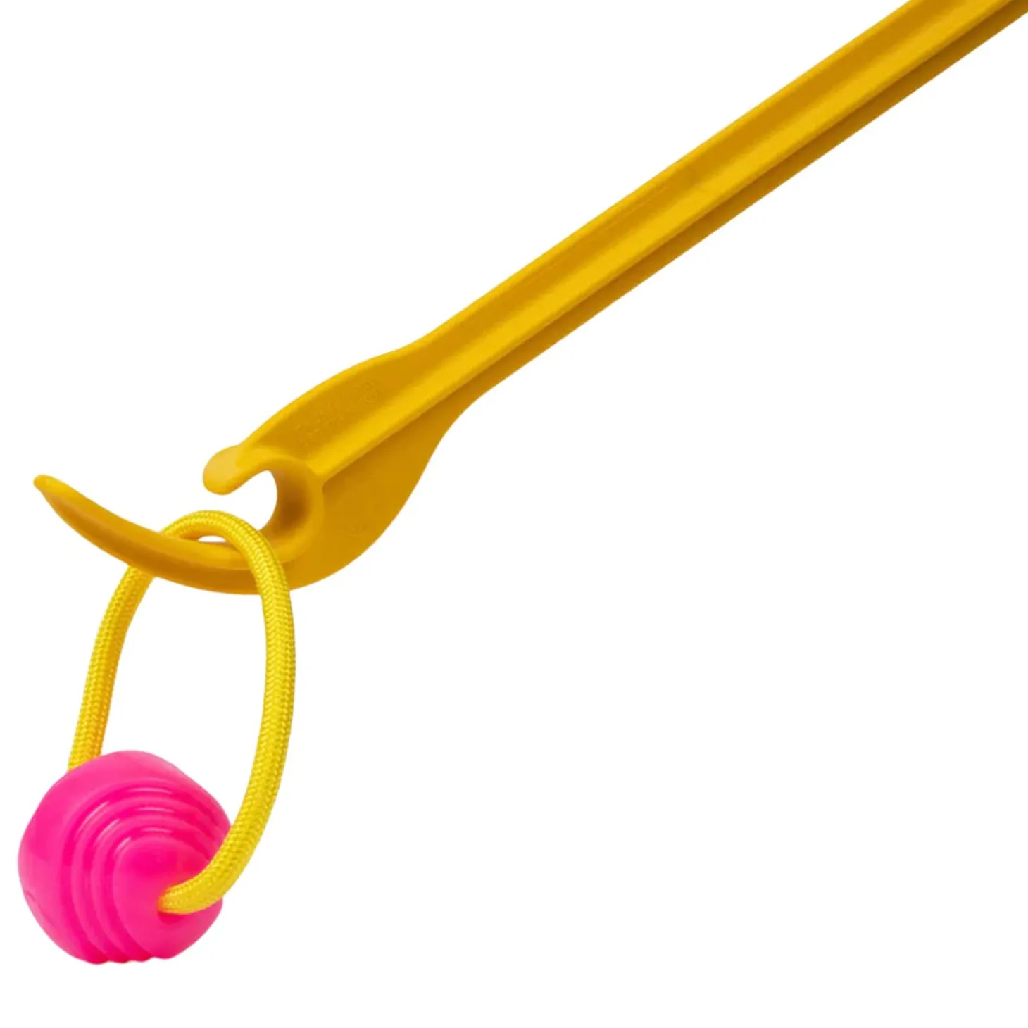 Small Looped Ball Pink & Blue Dog Toy