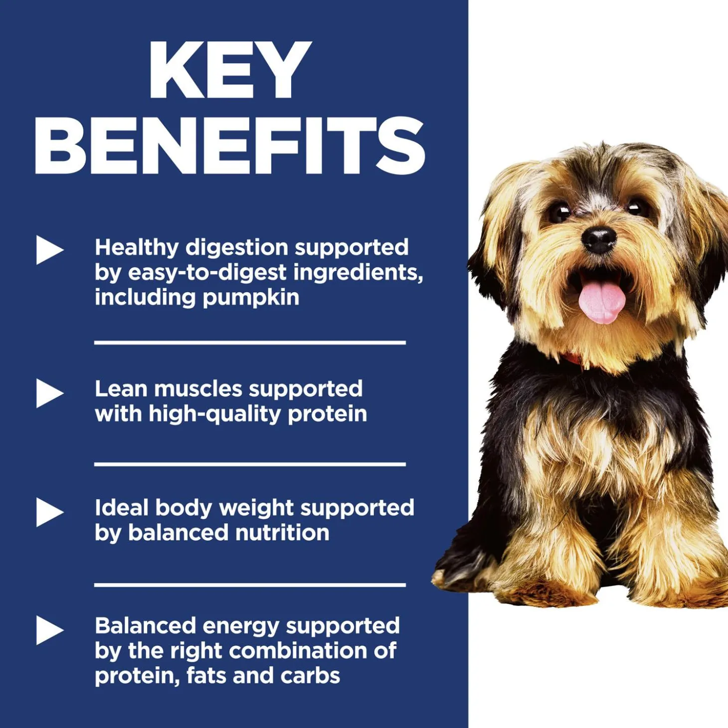 Small Paws Chicken Meal & Rice Recipe Adult Dog Food