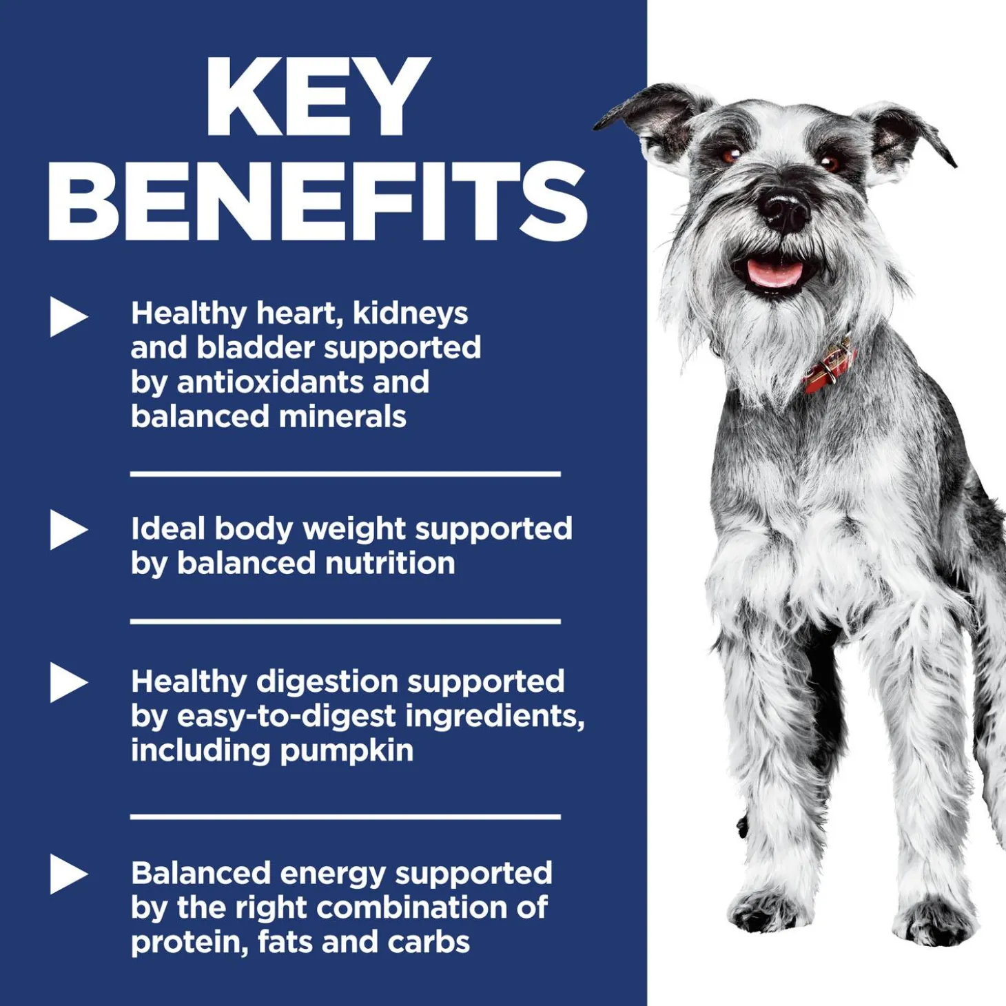 Small Paws Chicken Meal, Barley & Brown Rice Recipe Adult 7+ Dog Food