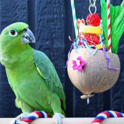 Smart.Play Colada Enrichment Parrot Toy