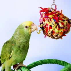 Smart.Play Super Shredding Ball Enrichment Bird Toy