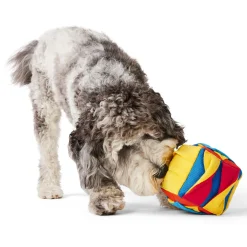 Snuffle Cube Dog Toy