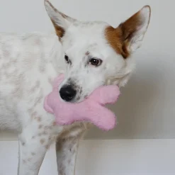 Snuzzles Kiddos Bunny Dog Toy