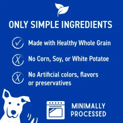 Soft Chews with Natural Bacon Cheese & Apples Dog Treats