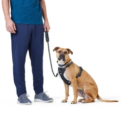 Soft Grip Ribbon Tape 16ft Retractable Black Dog Leash