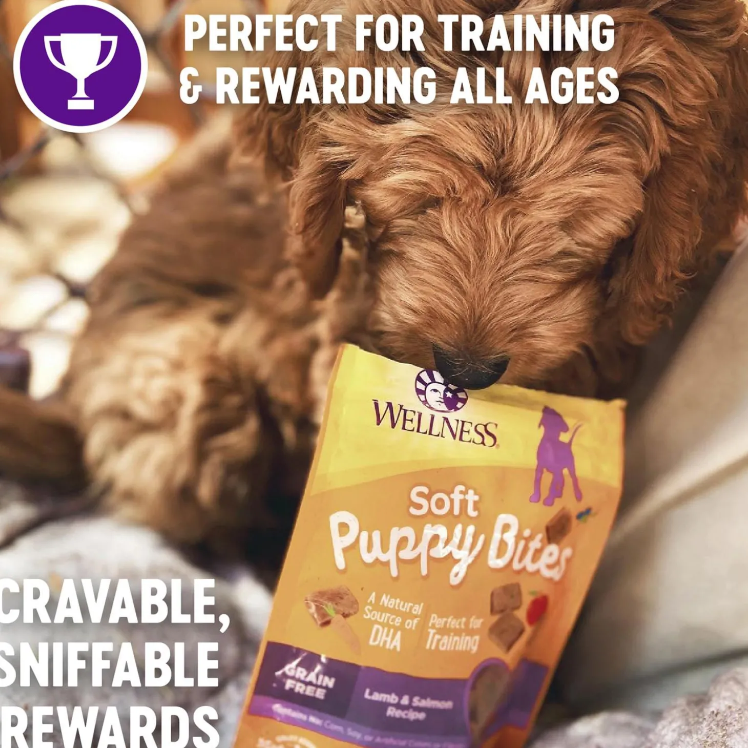 Soft Puppy Bites Lamb & Salmon Recipe Puppy Treats