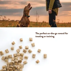 Softies Lamb & Pumpkin Dog Treats