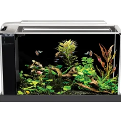 SPEC Freshwater Aquarium Kit