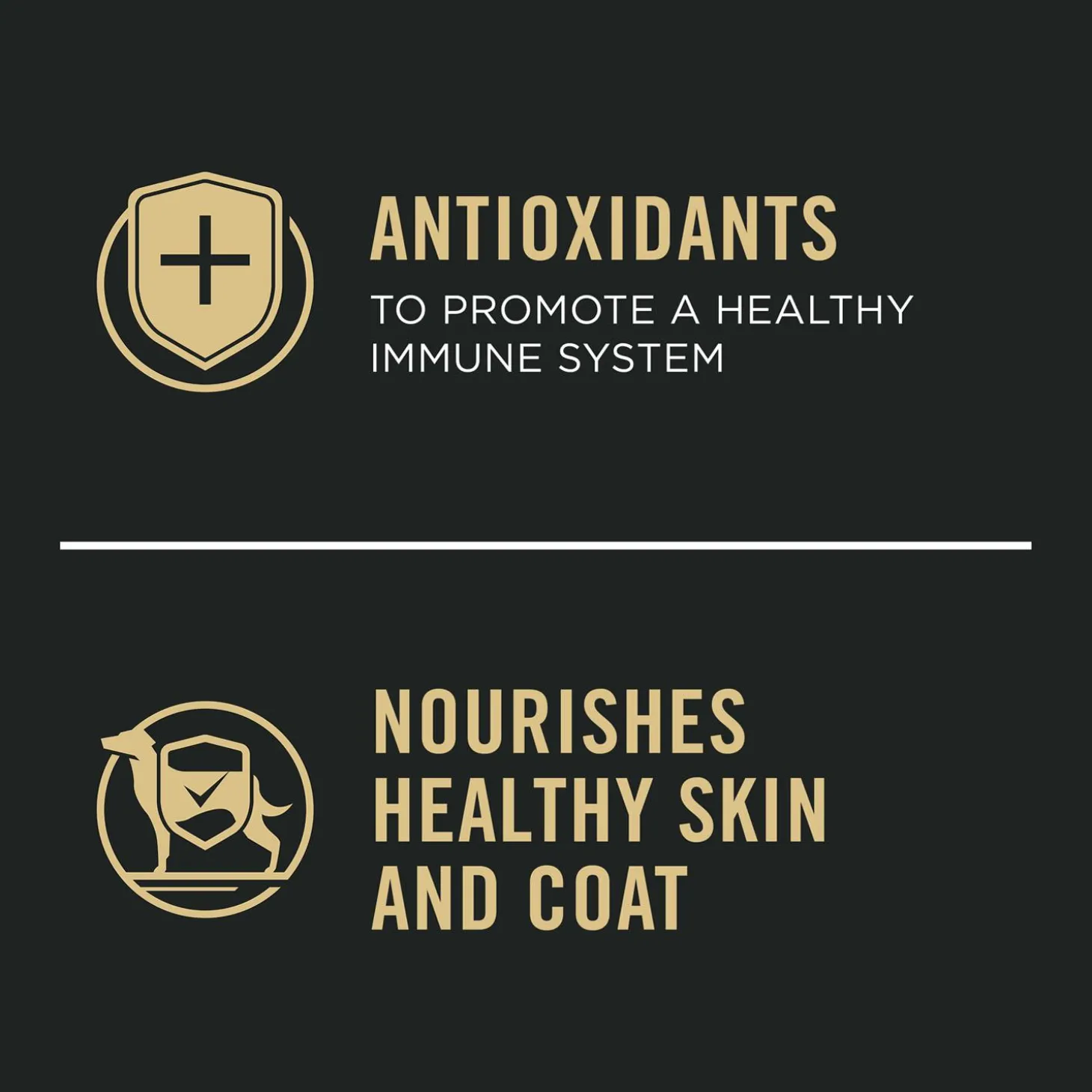 Specialized Chicken & Carrots Entree Small Breed Adult Dog Food