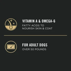 Specialized Chicken & Rice Formula Large Breed Adult Dog Food