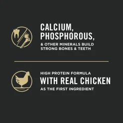 Specialized LiveClear Chicken & Rice Formula Kitten Cat Food