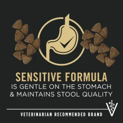 Specialized Sensitive Skin & Stomach Lamb & Oat Meal Formula Adult Dog Food