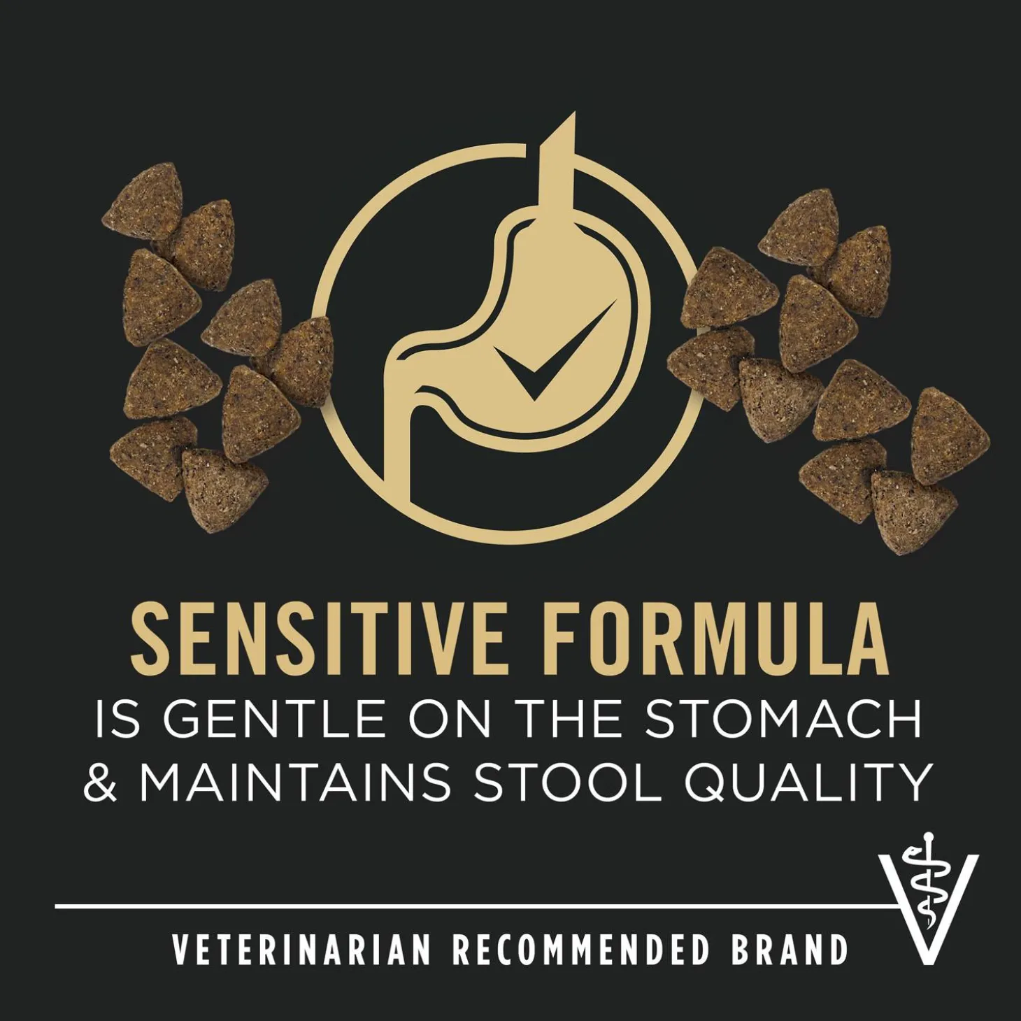 Specialized Sensitive Skin & Stomach Lamb & Oat Meal Formula Adult Dog Food
