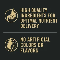 Specialized Sensitive Skin & Stomach Lamb & Rice Adult Cat Food