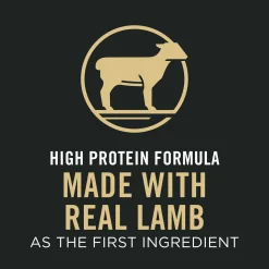 Specialized Sensitive Skin & Stomach Lamb & Rice Adult Cat Food