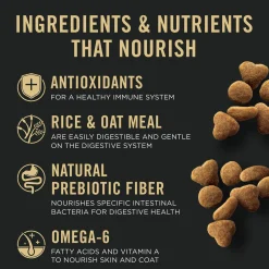 Specialized Sensitive Skin & Stomach Lamb & Rice Adult Cat Food