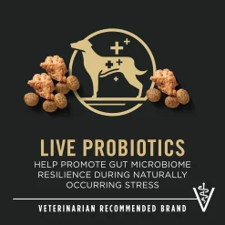 Specialized Shredded Blend Chicken & Rice Formula Small Breed Adult 7+ Dog Food