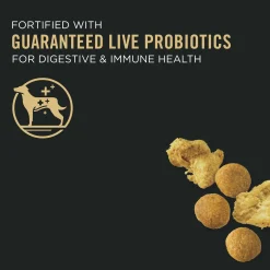 Specialized Shredded Blend Chicken & Rice Formula Large Breed Adult Dog Food