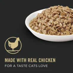 Specialized Urinary Tract Health Chicken Entree Adult Cat Food