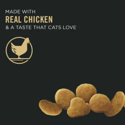 Specialized Urinary Tract Health Chicken & Rice Formula Adult Cat Food