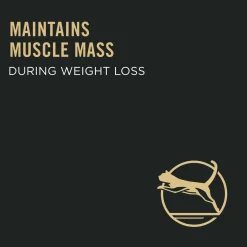 Specialized Weight Management Chicken & Rice Formula Adult Cat Food