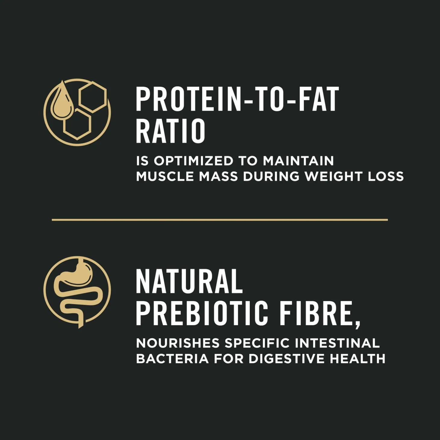 Specialized Weight Management Chicken & Rice Formula Large Breed Adult Dog Food