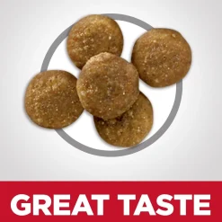 Specialty Perfect Digestion Salmon, Brown Rice & Whole Oats Recipe Adult Cat Food