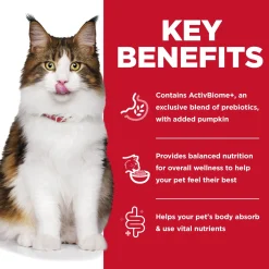 Specialty Perfect Digestion Chicken, Vegetable & Rice Stew Adult Cat Food