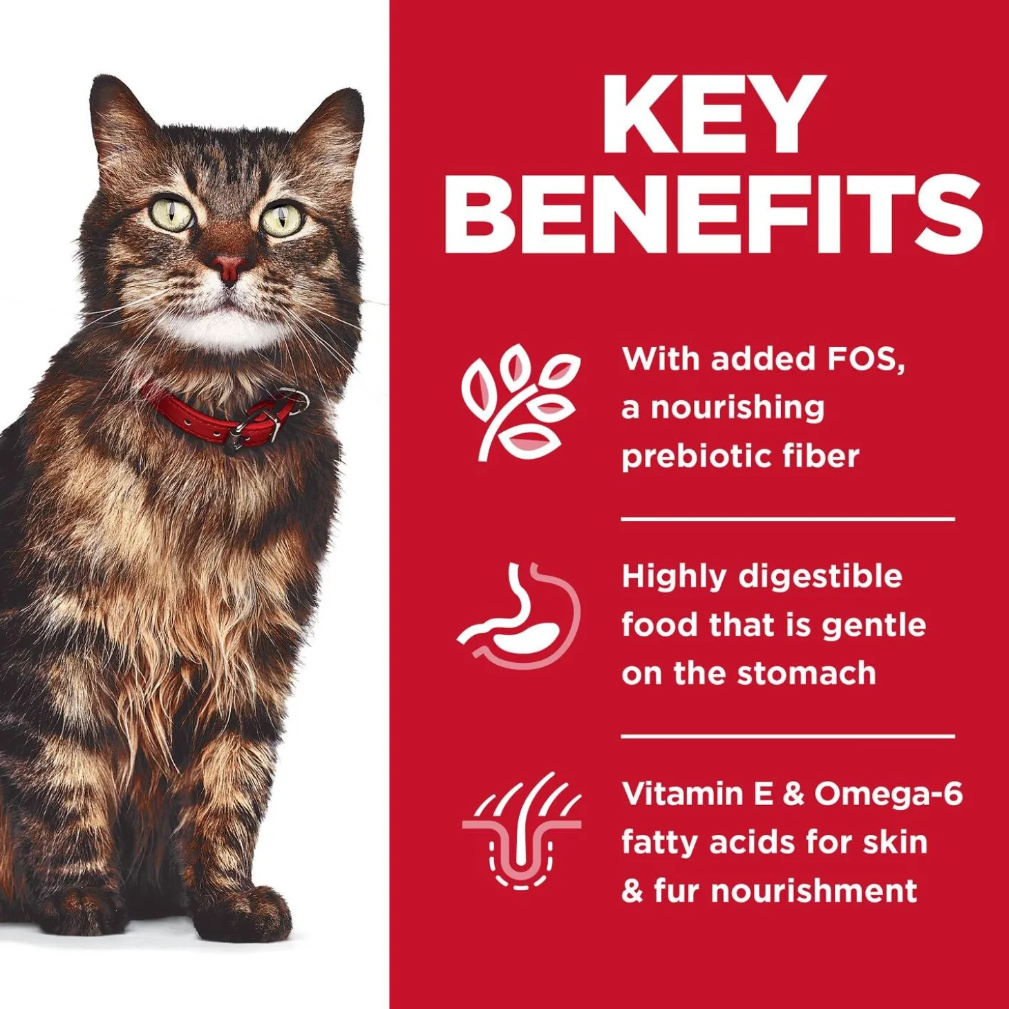 Specialty Sensitive Stomach & Skin Variety Pack Adult Cat Food