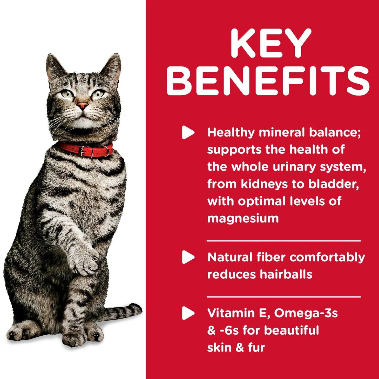 Specialty Urinary Hairball Control Savoury Chicken Entree Adult Cat Food