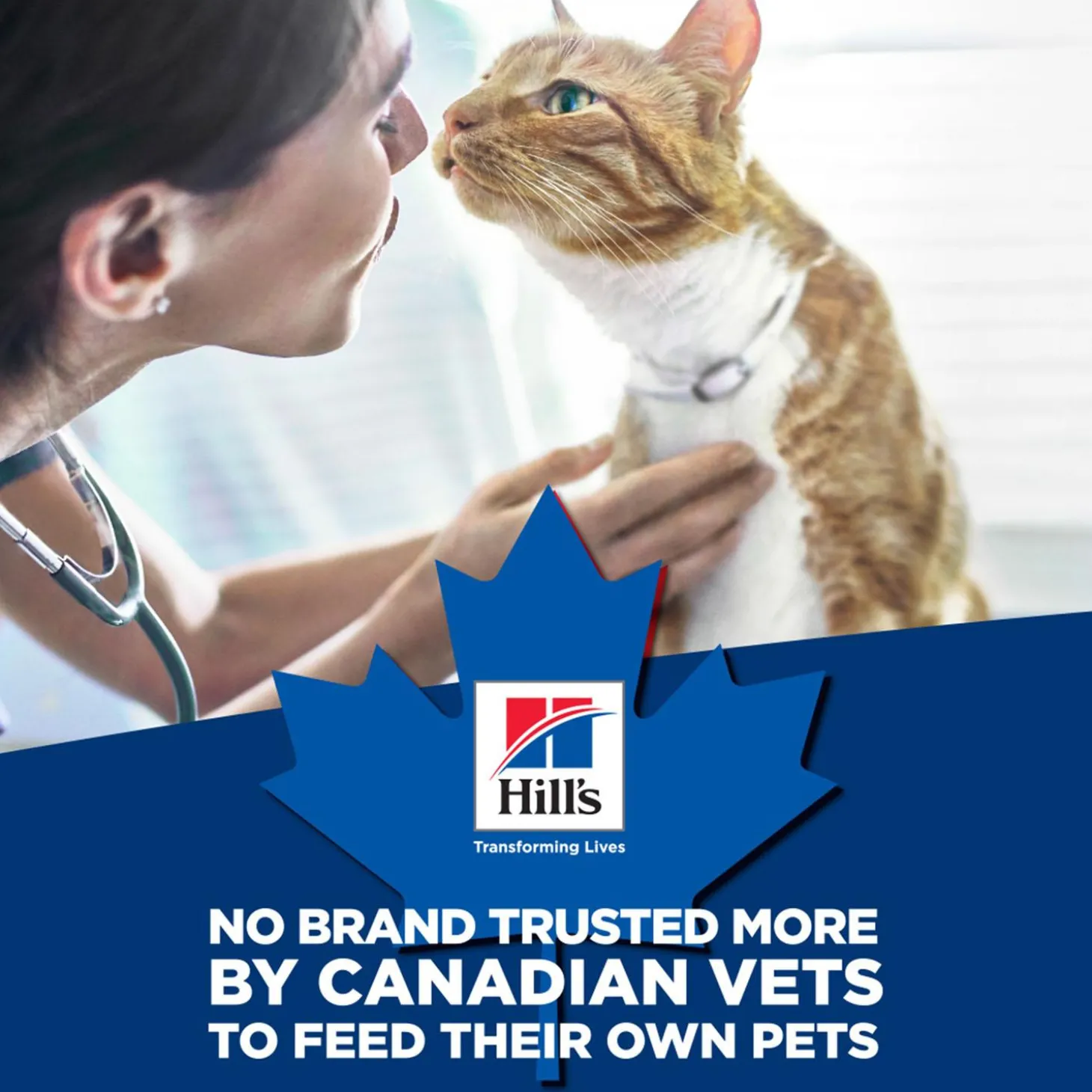 Specialty Urinary Hairball Control Savoury Chicken Entree Adult Cat Food