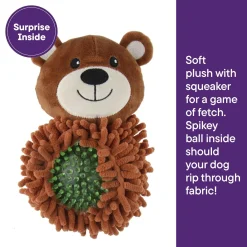 Spikey Bear Ball Dog Toy